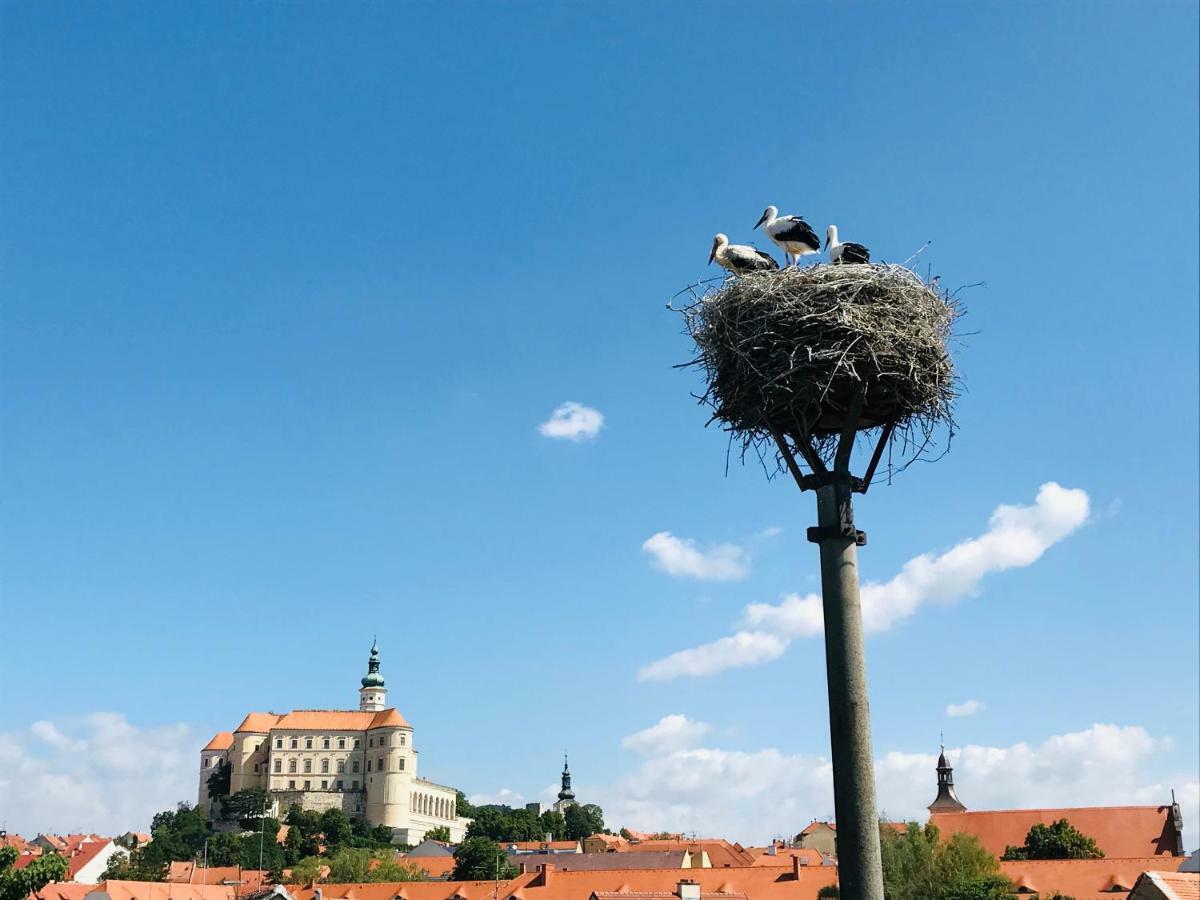 Penzion Čáp Mikulov Exterior foto